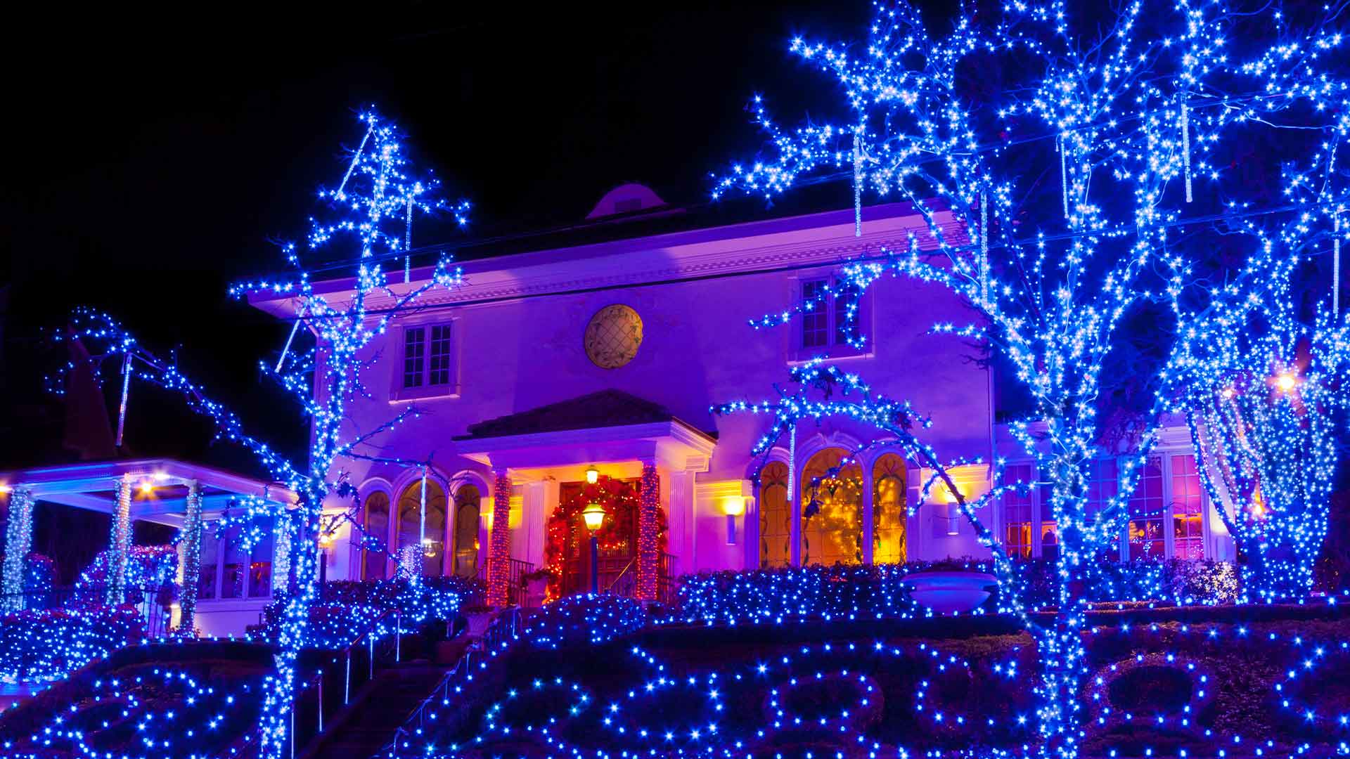 Professional blue holiday light installation on home and trees in Arlington TX