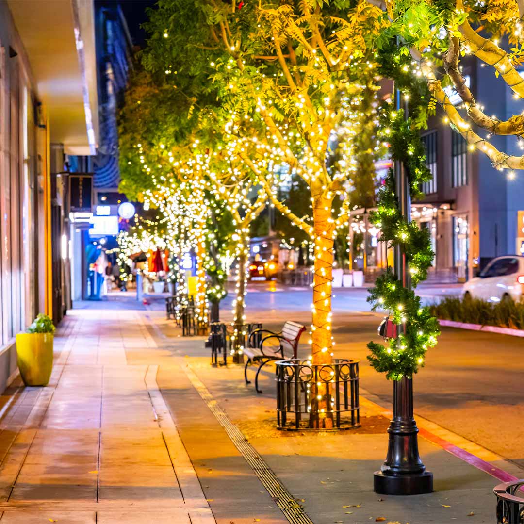 Professional Christmas light installation on a home in Fort Worth TX